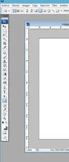 paso003.webp