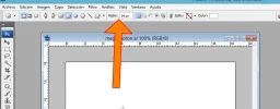 paso004.webp