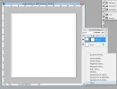 paso007.webp