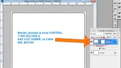 paso014.webp