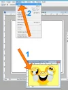 paso015.webp