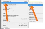 paso018.webp