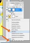 paso025.webp