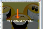 paso030.webp