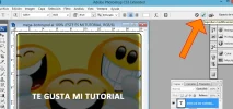 paso031.webp