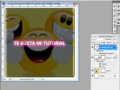 paso036.webp