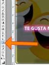 paso037.webp