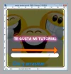 paso038.webp