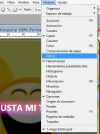 paso039.webp