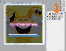 paso040.webp