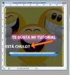 paso041.webp