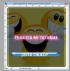 paso043.webp
