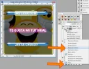 paso046.webp