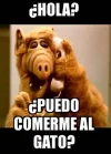 imagen-131.webp