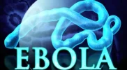 ebola.webp ebola.webp