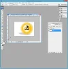 paso-004A.webp