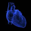 Medicina-regenerativa-impresion-de-organos-en-3D-3.webp