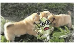 43E90FF4-6B21-4D3F-BE80-6A93E7825AAC.webp