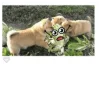 1595384605761.webp