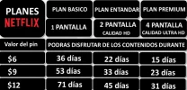 Pines net.webp