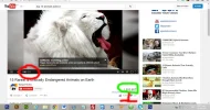 numero 1.webp