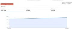 capturada.webp