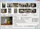 SoftOrbits+Digital+Photo+Suite.webp