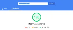 Pagespeed anillo pc.png Pagespeed anillo pc.png