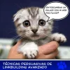 linkbuilding-avanzado.webp