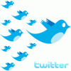 twitter-seguidores.gif
