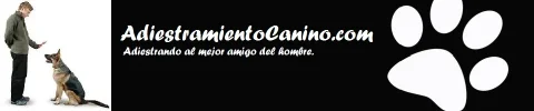 header.webp