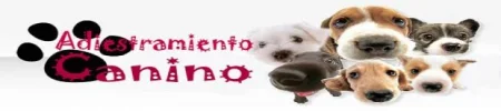 asdfasdf.webp