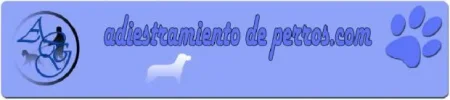 asfvasv.webp