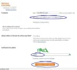 configurardns1and17.webp