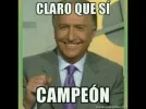 508590dz.webp