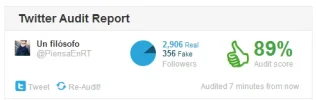 Twitter audit piensaenrt.webp