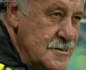 vicente-del-bosque.gif