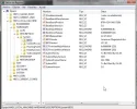 4.webp