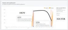 subasta3.webp