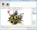 batch-picture-protector-o1lj1.webp