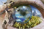 Curiosidades-de-la-naturaleza.webp Curiosidades-de-la-naturaleza.webp