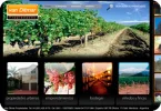 vanditmar.webp