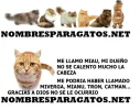 NOMBREPARAGATOS1.webp