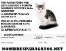 NOMBREPARAGATOS2.webp