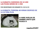 NOMBREPARAGATOS4.webp