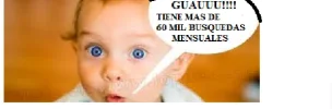 QUE2.webp