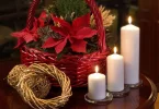 flores de pascua.webp