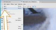 paso4.webp