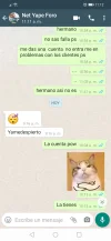 Screenshot_20200906_111204_com.whatsapp.w4b.webp