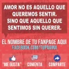 ryeFgDC.webp